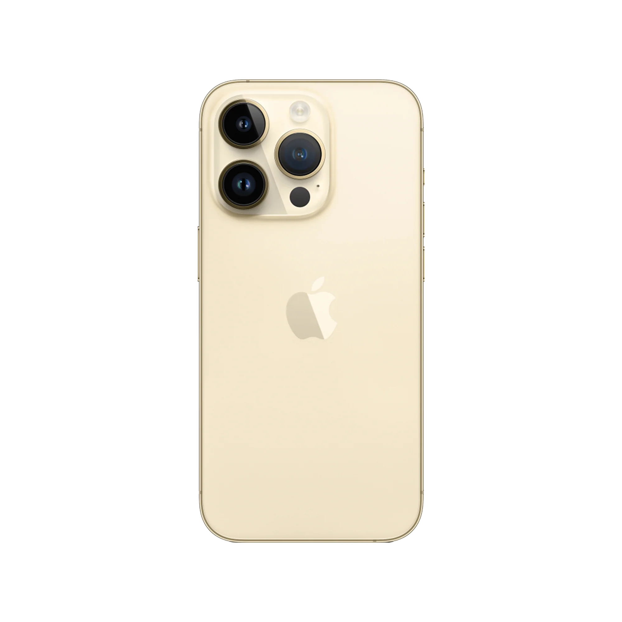 Thumbnail 45