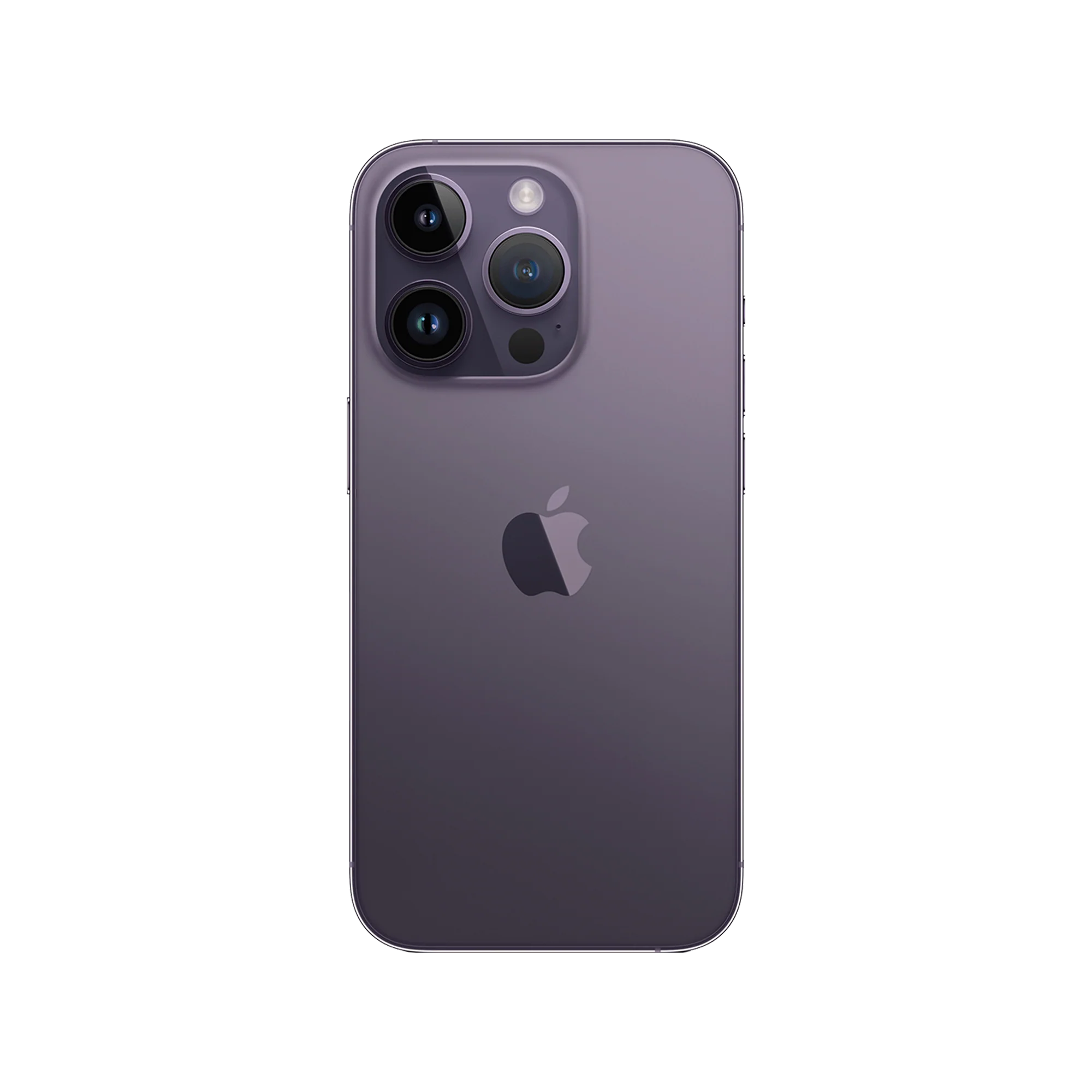 Thumbnail 51
