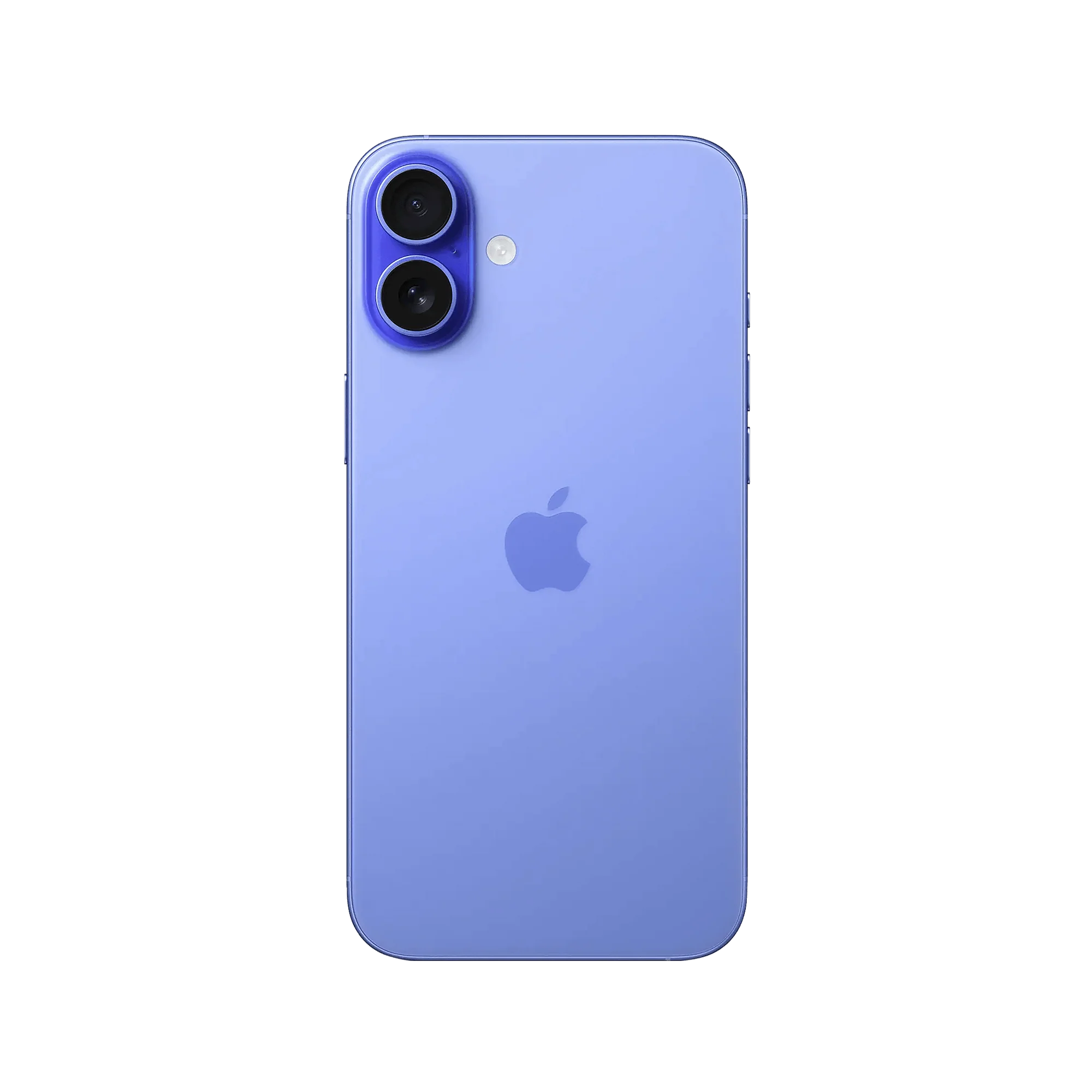 Thumbnail 80