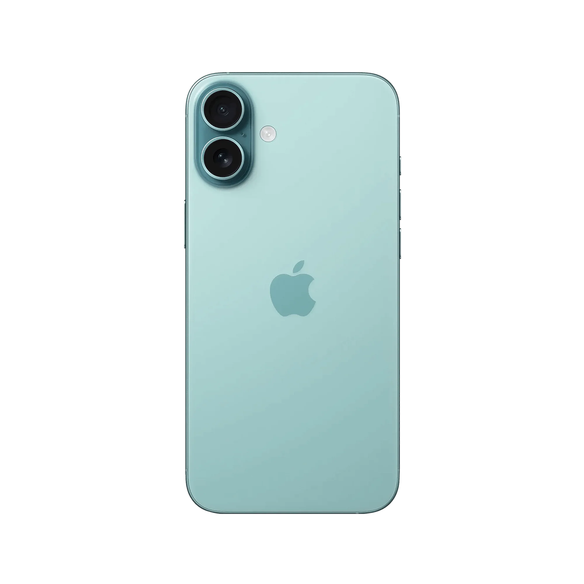 Thumbnail 81